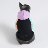 Color Block Dog Hoodies