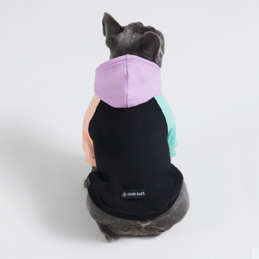 Color Block Dog Hoodies