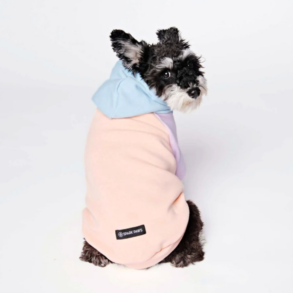 Color Block Dog Hoodies