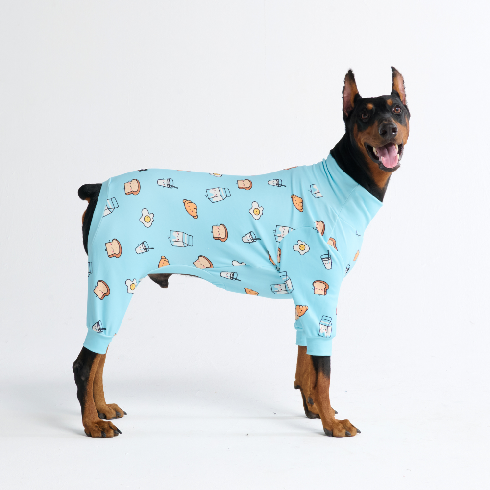 Dog Pajama Prints