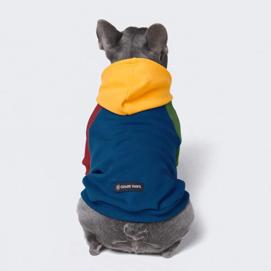 Color Block Dog Hoodies