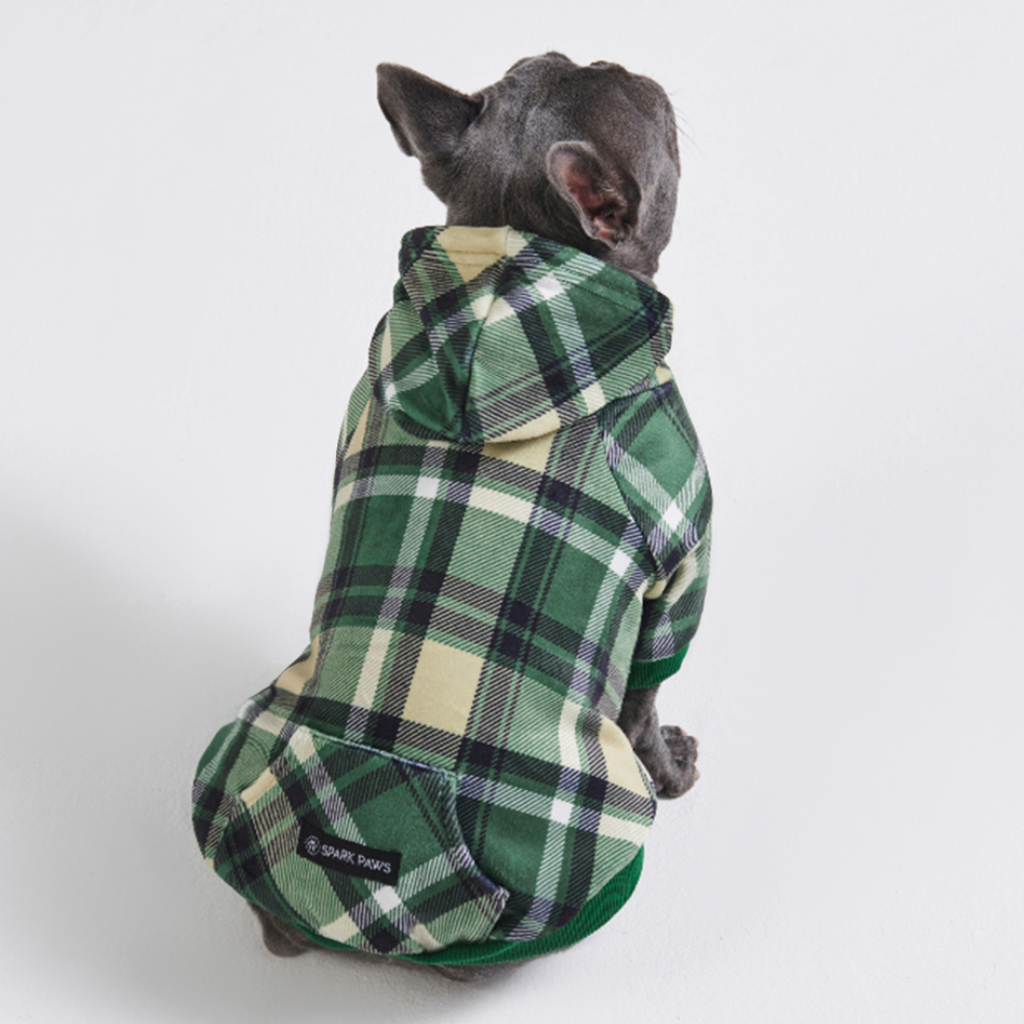 Green Plaid Dog Hoodie
