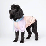 Cotton Candy Dog Hoodie