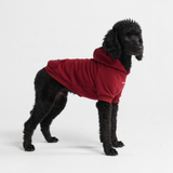 Essential Dog Hoodies
