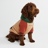 Color Block Dog Hoodies