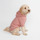 Essential Dog Hoodies