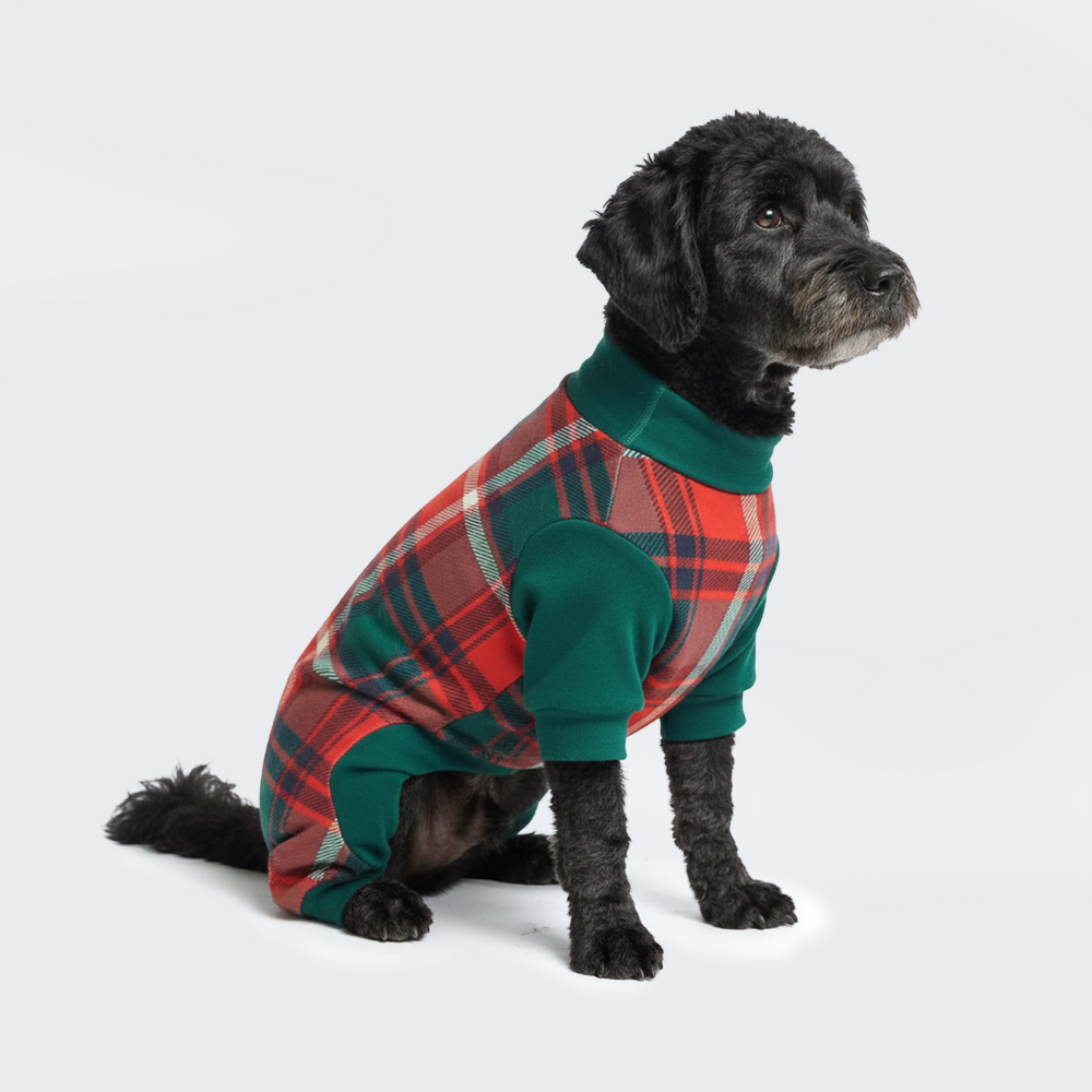 Dog Pajama - Green and Red Plaid