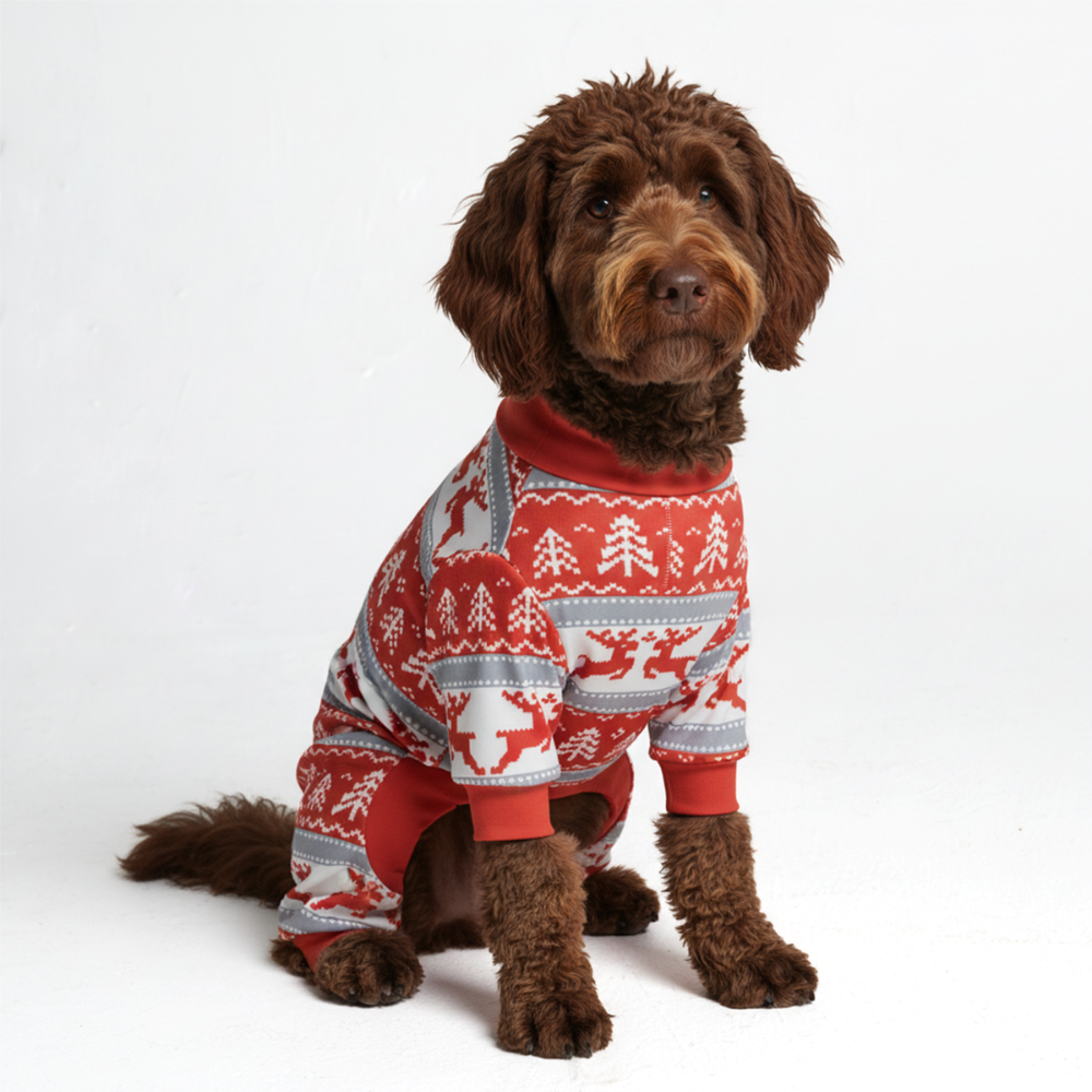 Dog Christmas Pajama - Winter Wonderland