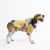 Velvet Dog Hoodie - Berry Lemonade