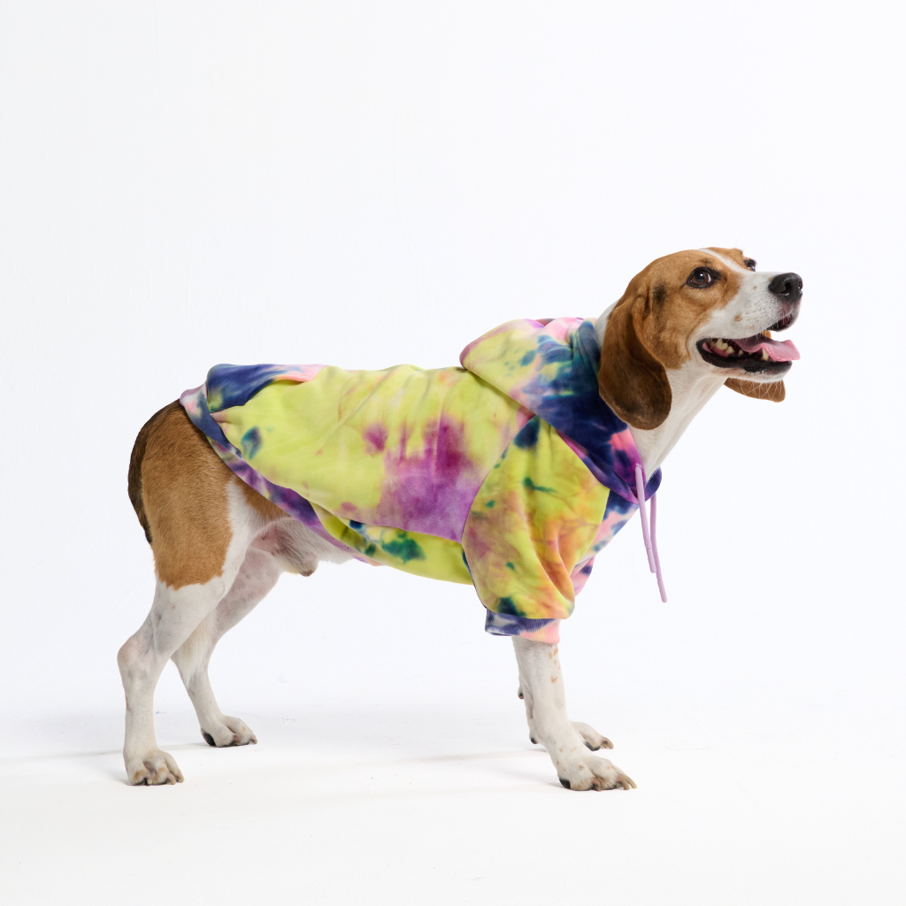 Velvet Dog Hoodie - Berry Lemonade