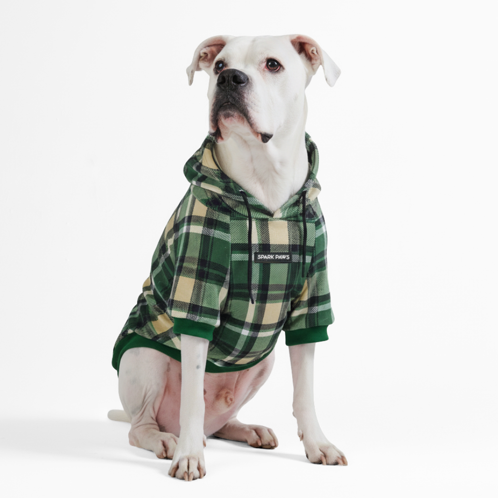 Green Plaid Dog Hoodie