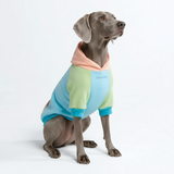 Color Block Dog Hoodies