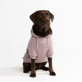 Essential Dog Hoodie - Purple Taupe