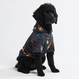 Rock and Roll Dog Hoodie