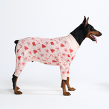 Dog Christmas Pajamas