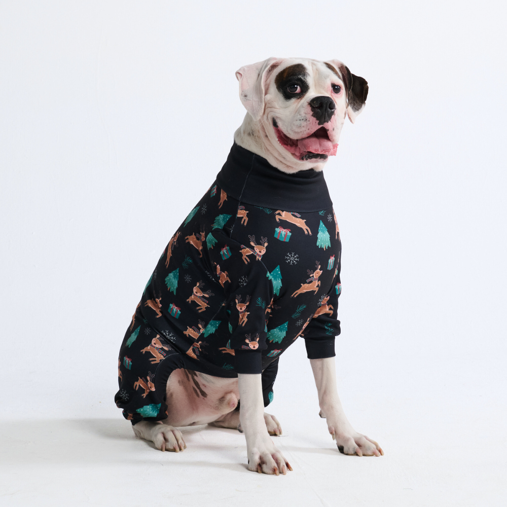 Dog Christmas Pajamas