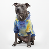 Velvet Dog Hoodie - Nova