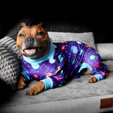 Dog Pajama Prints