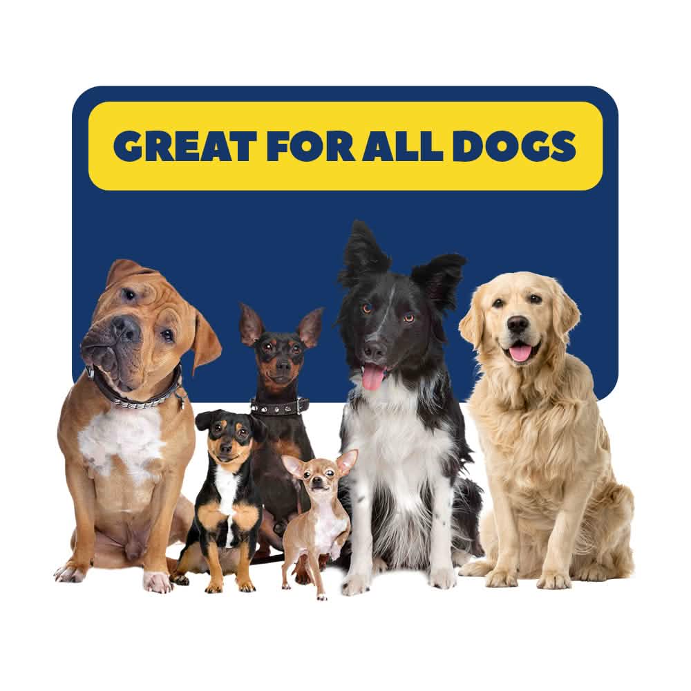 Wizz : Pet Natural Foam Cleaner - 7 oz