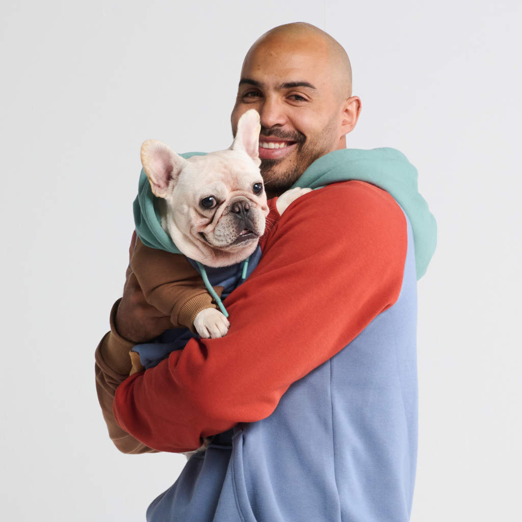 Color Block Dog Hoodies