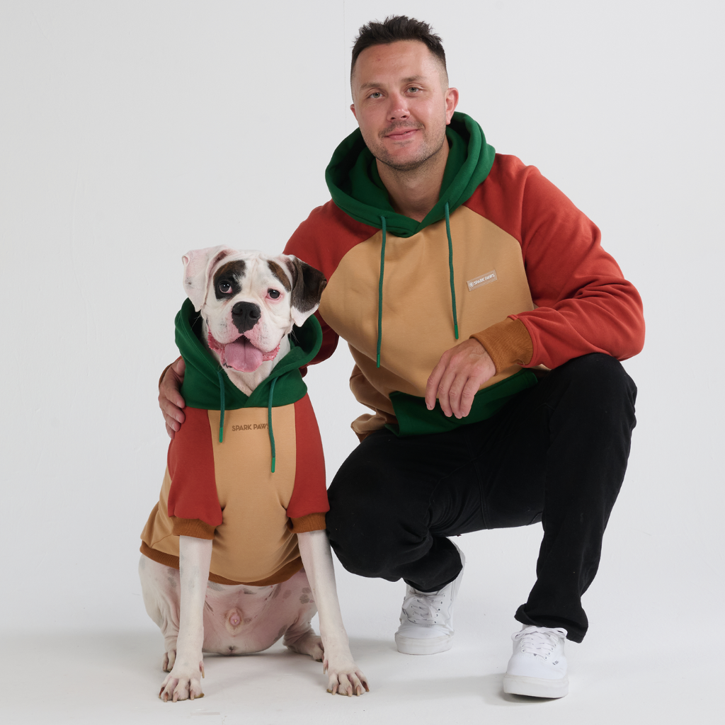 Color Block Dog Hoodies