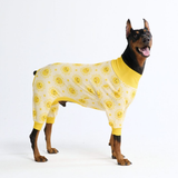 Dog Pajama Prints