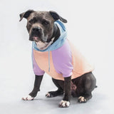 Cotton Candy Dog Hoodie