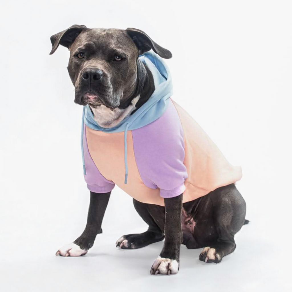 Color Block Dog Hoodies