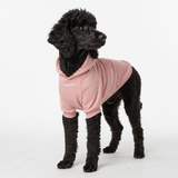 Essential Dog Hoodies