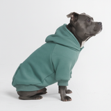 Essential Dog Hoodies