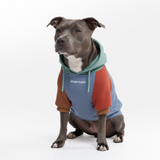 Color Block Dog Hoodies
