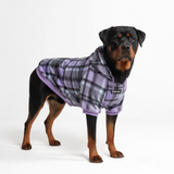 Purple Plaid Dog Hoodie