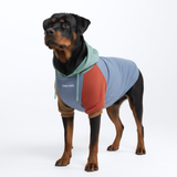 Color Block Dog Hoodies