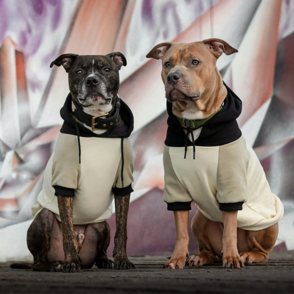 Color Block Dog Hoodies