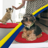 Wumarts Mat® Super Absorbent Microfiber Dog Door Oval Mat