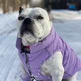 WarmShield Water-Resistant Jacket - Lilac