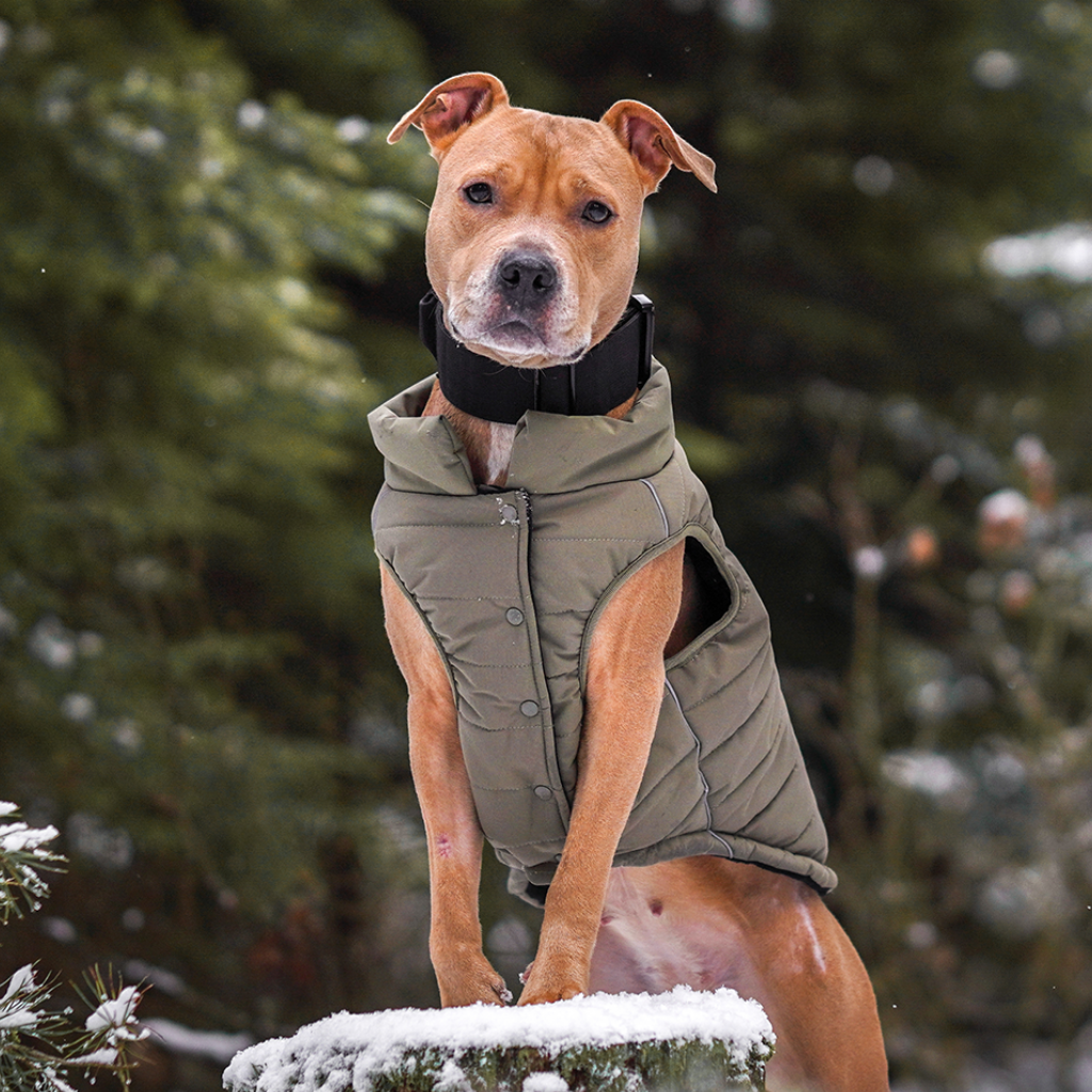 WarmShield Water-Resistant Jackets