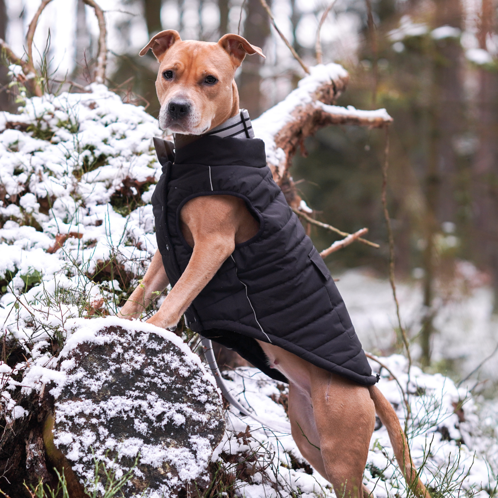 WarmShield Water-Resistant Jackets