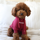 Essential Dog Hoodie - Burgundy