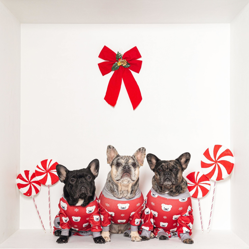 Dog Pajama - Polar Bear