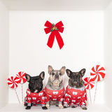 Dog Christmas Pajamas
