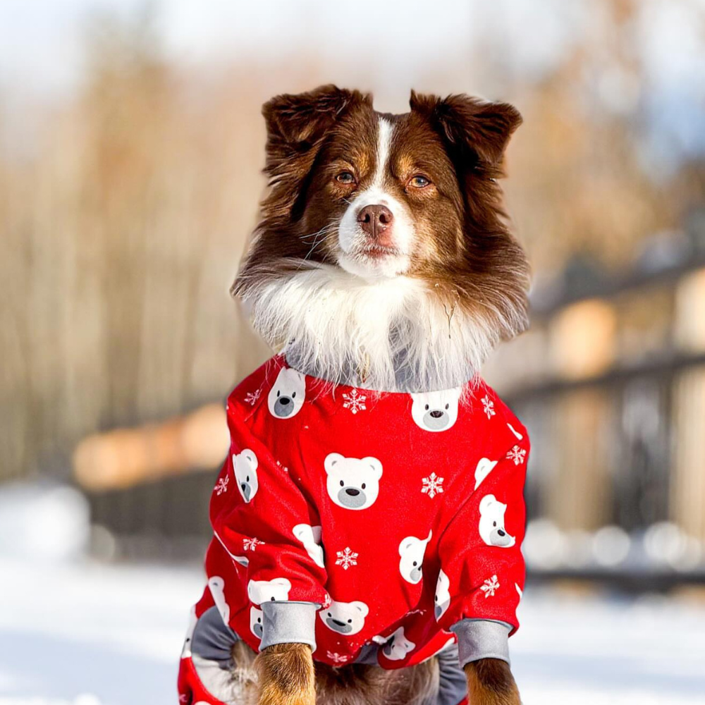 Dog Christmas Pajamas
