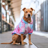 Velvet Dog Hoodie - Snow Cone