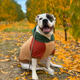 Color Block Dog Hoodies