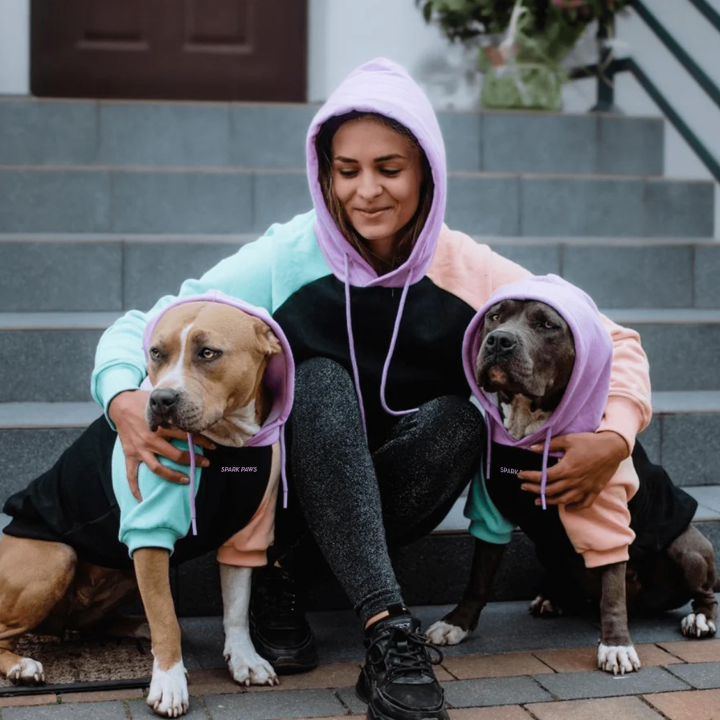 Cyber Punk Dog Hoodie