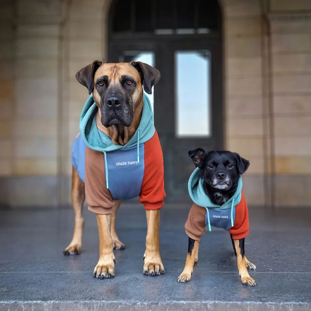 Color Block Dog Hoodies