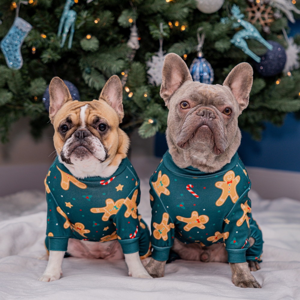 Dog Christmas Pajama - Gingerbread Man