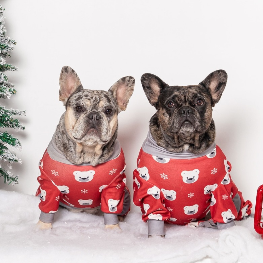 Dog Christmas Pajamas