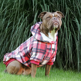 Plaid Dog Hoodies
