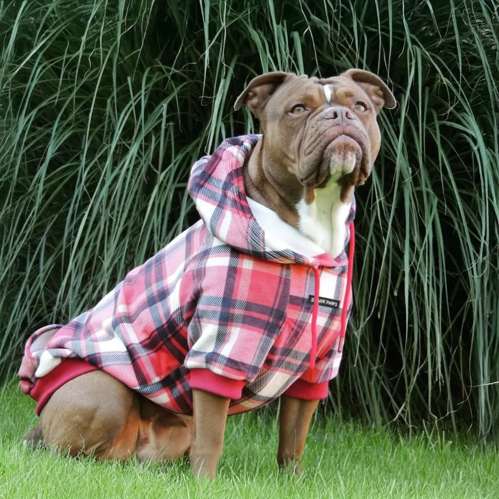 Plaid Dog Hoodies